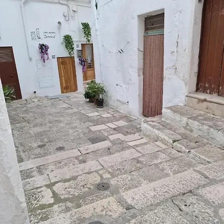 Casa Scheledd *